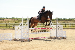 SBM_006596