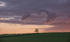 Cloud Grab