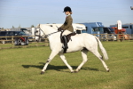 SBM_10652