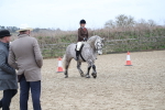 SBM_007228