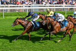 060926-Race 5-Extremely Zain-0333