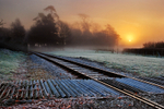 z1195 Sunrise, Ashey Junction
