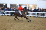 SBM_004653