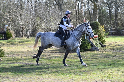 WJ7_9994