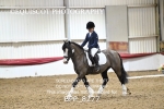 BPP_8277