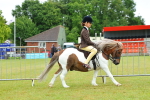 SBM_01177