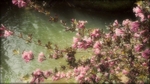 MU_021