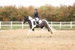 SBM_000751