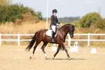 SBM_018385