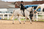 SBM_15876