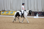 SBM_009311