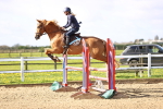 SBM_002988