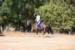 WJ6_7819