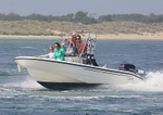 140907 BOSTON WHALER WT7A3929