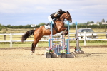 SBM_002841