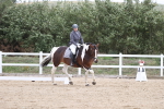 SBM_003034