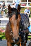 100726-Race 6-Ziggys Triton-0825