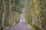 Kielder Ultra-1201