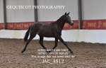 JAC_4912