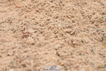 230628A-105948-00155