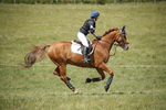 BVHT 140517  IXC -406