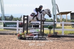 BPP_2427