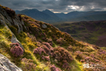September light, Snowdonia