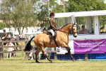 SBM_15057