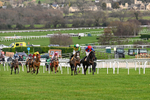 240126-Race 3-Donnacha-6378