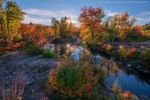 Marshlands