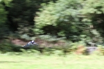 FOM_0714