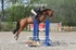 BPP_3826