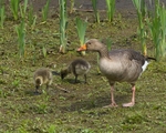 20110521-IMG_5366