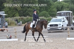 BPP_7985