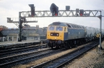 11th March 1988