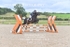 BPP_9191