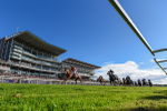 141023-Race 3-Montassib-3971