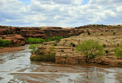Canyon de Chelly portfolio