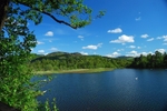 Loch of the Lowes, Perthshire