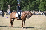 WJ6_9119
