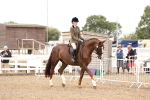 SBM_02806