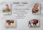 WILDLIFE PACKAGE of  NOTECARDS