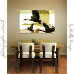 Magpie Geese in Flight