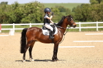 SBM_008651