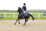 SBM_002003