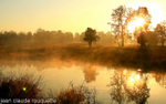 Kanha at the sunrise.