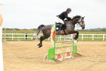 Show Jumping - 8-8-24 portfolio