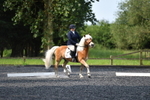 WJ5_9198