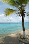 Kralendijk Promenade, Bonaire