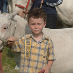 Young boy with his pony, Horse Fair, Ireland